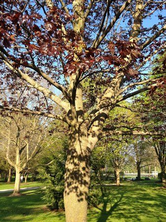 Barrie Arboretum at Sunnidale Park